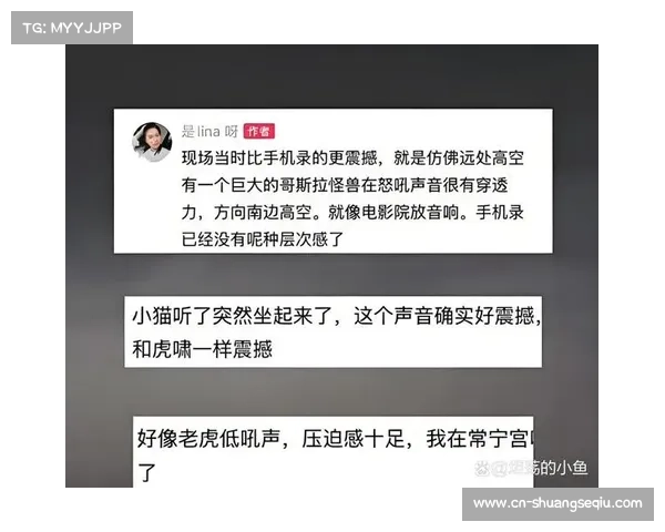 青少年体能训练的分歧 U12组力量训练是否影响成长引发专家热议